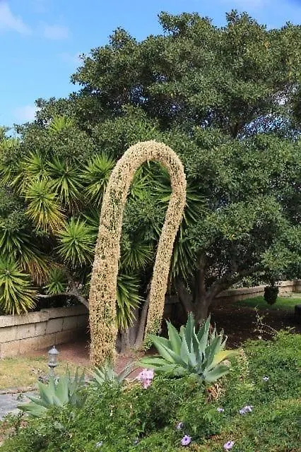 Charmantes Ferienhaus In Guia De Isora Mit Garten 0*, Guía de Isora Spanien